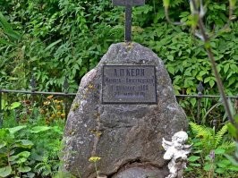В качестве примера смерти от старости. Надеюсь, стихи вспомните?