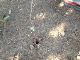 Кто знает-тот знает)