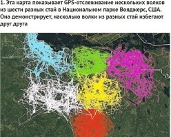 Если среднестатистическому жителю России навесить датчик джипиэс, то результат будет вообще в пределах одного городского района..