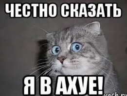 А... ааа..кхм.  Простите, а как вообще в первый раз можно было поверить какому то блогеру, что он тебя за 20К отправит в тур где: (проживание, экскурсии и питание для всех желающих)..  За 20К , очевидно тебя смогут отправить лишь в один тур - в пеший  эротический.
Кто эти люди кто платит таким вот откровенным мошенникам, и откуда у них деньги, и как они вообще функционируют в обществе? С такой соображалкой они просто должны были задохнуться во сне, ибо мозг бы просто забыл бы в какой-то момент что надо дышать.. Это просто клинические  идиоты.
