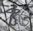 Не знаю как насчет верблюдов, но чел на велике настораживает , неужели казахи и велик изобрели?