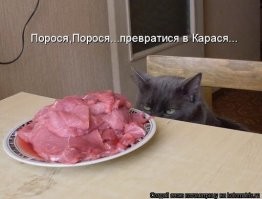 Продолжаем барражировать соцсети