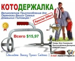 Кот был против.