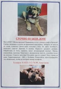 Надеюсь скоро повеселеют и у этой собачки... 
У добрых и полезных дел нет расстояний!