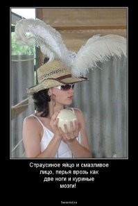 Новое исследование показало, что между человеческим и птичьим мозгом существует не так много различий, как думали специалисты ранее. Предположение о более высоком развитии мозга млекопитающих основывается, частности, на дифференциальных структурах коры головного мозга и неокортекса, где сосредоточены сложные когнитивные функции. До настоящего времени не было подтверждений, что мозг пернатых имеет похожую структуру, однако доктор Харви Джей Картен из университета Калифорнии в штате Сан-Диего меняет данное мнение.

Эксперимент, проведенный под его руководством, исследовал женское и куриное серое вещество. Для анализа применялись передовые технологии визуализации, в том числе высокочувствительный индикатор. В результате карта области куриного мозга (часть конечного мозга) оказалась крайне похожей на человеческий. У птиц, как и у женщин, мозг состоит из ламинированного слоя клеток, соединенных между собой узкими радиальными колоннами клеток другого типа. В них присутствует большое количество взаимосвязей, формирующих своего рода микросхемы, практически идентичные содержащимся в коре млекопитающих.

Эти исследования показывают, что так называемые ламинарное и столбчатое свойства коры головного мозга не являются уникальными и присущими исключительно млекопитающим, а были восприняты от более древних форм позвоночных животных. Это опровергает мнение, что другие виды животных не способны производить сложную когнитивную и аналитическую обработку информации, полученной через органы чувств, и на самом деле не так много уступают млекопитающим.
