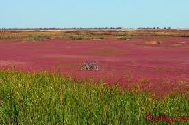 В Бердянске практически то же самое. И по тем же причинам. Лиманы,соль.И да, там можно загорать и даже мазаться грязью.