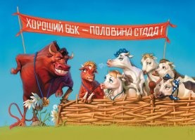 Коровы встречают быка Самсона