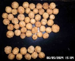 Моя коллекция 3-хстворчатых и 4-хстворчатых грецких орехов, которые ЯКОБЫ очень редкие и стоят по полмиллиона.




Коллекцию собрал за ПОЛГОДА и она продолжает пополняться с каждой покупкой очередной килограммовой партии!
И что? Кому-то это интересно? Вот прям вижу со своего балкона громадную очередь желающих купить эту коллекцию!