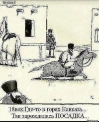 Прикольный котэ! Дагестанская порода?