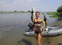 Сучка и щучки.