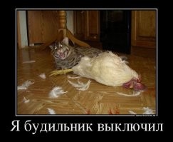 Добытчик
