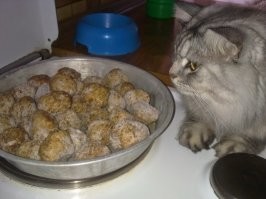 Хранитель тефтелек