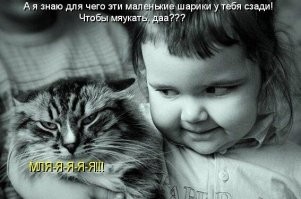 Хозяйка нашла у кота музыкальную кнопку