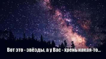 20 самых ярких звёздных образов с Met Gala 2024, приковавших взгляд всего мира