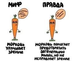 Половина проблем со зрением - дегенерация мышц, управляющих глазным яблоком
