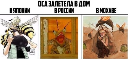 Любитель пчёл похвастался стеклянным ульем