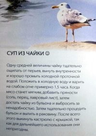 Автозамена жжёт: 13 сообщений, которые пошли не по плану