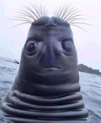 Ну..., это как посмотреть. Например, если со стороны затылка: