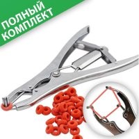 Донаты за кастрацию: в Британии осудили создателя сайта, который заработал 300 000 на добровольном оскоплении