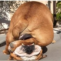 А вот это как)