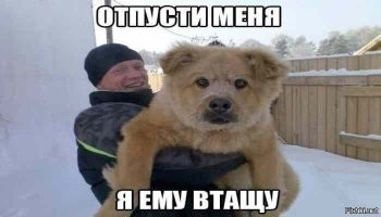 Полицейские задержали мужчину с гранатой возле детского сада в Южноуральске