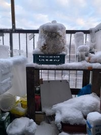 Мой балкон сегодня утром