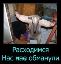 Просто гифки, всякие и&nbsp;разные