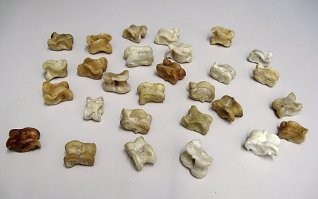 Пользователи сети поделились фотографиями, которые ассоциируются у них со словом «ностальгия»
