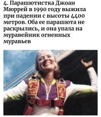 Ну... И с большей высоты падали и выживали. 

Разве, что в муравейник к разным муравьям не попадали.