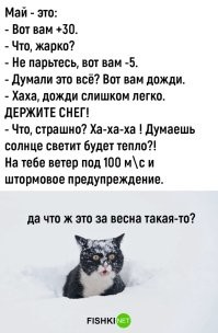 Вот эт точно... Вчера целый день дождь хреначил, а ночью снег выпал