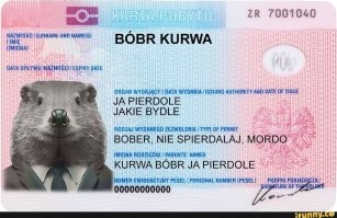 Вечерний улыбатор