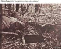 Белый дом: "Вторую мировую выиграли американцы с украинцами..."