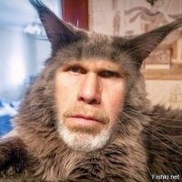 Вечерний улыбатор