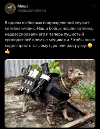 Политический мониторинг (324)