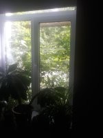 Адрес желательно. Если остров Диксон, то ничего так.
У меня так