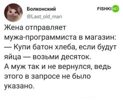 По алгоритму он купил десяток батонов, так как выполнялось условие ЯЙЦА БЫЛИ.
А домой он вернулся, так как в магазин то он попал не смотря на то, что ПОХОДА не было в алгоритме.
Эти пункты заложены ПО УМОЛЧАНИЮ.
Программисты, мля, сразу видно, что никогда программы не писали