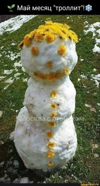 Символ мая 2024