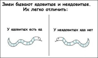 Обыкновенный уж: самая адекватная змея, которую не стоит бояться вообще