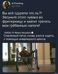 В Эстонии требуют прекратить содержать кур в клетках