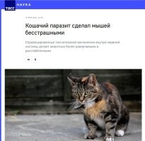 Это называется токсоплазма.