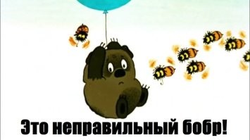 Интересный факт о бобрах