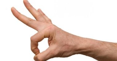 День не задался? Тогда финалисты Comedy Pet Awards поднимут вам настроение