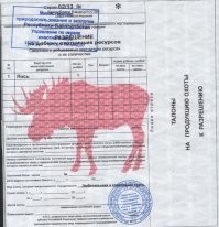 Да ... в такие места на прогулку надо ходить подготовленным. И иметь при себе
