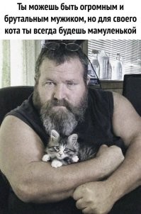 Когда жена не разрешает завести кошечку