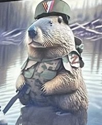 тут другая агентура, позывной бобр курва