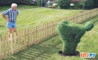 Самый узкий дом в мире был построен назло соседу