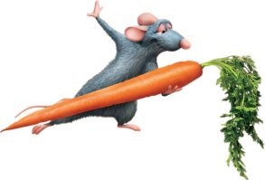 День не задался? Тогда финалисты Comedy Pet Awards поднимут вам настроение