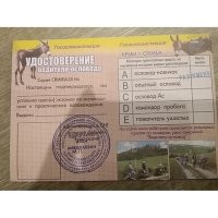 Вот так проходит экзамен по вождению в Афганистане 