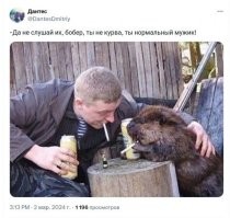 Интересный факт о бобрах