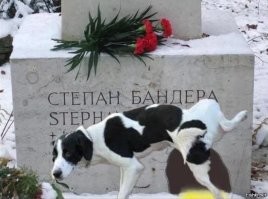 Политическая рубрика от&nbsp;NAZARETH за&nbsp;13.05.24. Новости, события, комментарии - 1652